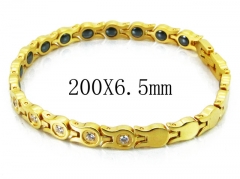 HY Stainless Steel 316L Bracelets (Magnetic Health)-HY36B0189ILD