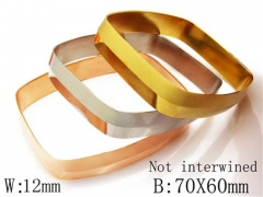 HY Stainless Steel 316L Bangle-HYC58B0007H50