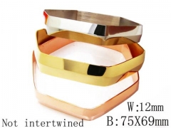 HY Stainless Steel 316L Bangle-HYC58B0009H50