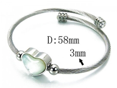 HY Stainless Steel 316L Bangle-HYC91B0099IIW