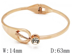 HY Stainless Steel 316L Bangle-HYC68B0030I30