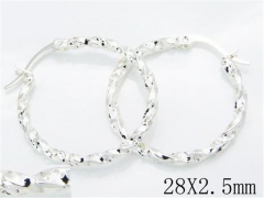 HY 316L Stainless Steel Plating Silver Earrings-HYC70E0477KZ