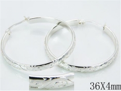 HY 316L Stainless Steel Plating Silver Earrings-HYC70E0488KZ