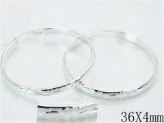 HY 316L Stainless Steel Plating Silver Earrings-HYC70E0487KZ