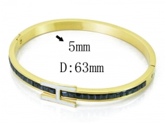 HY Wholesale 316L Stainless Steel Popular Bangle-HY19B0313IDD