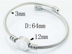 HY Wholesale Stainless Steel 316L Fashion Bangle-HY12B0201NL