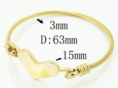 HY Wholesale Stainless Steel 316L Fashion Bangle-HY58B0585MD