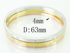 HY Wholesale Stainless Steel 316L Fashion Bangle-HY58B0573HOD