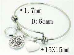 HY Wholesale Stainless Steel 316L Fashion Bangle-HY12B0249HHE