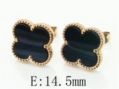 HY Wholesale 316L Stainless Steel Popular Jewelry Earrings-HY32E0165MX