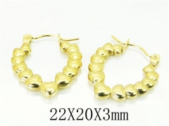 HY Wholesale 316L Stainless Steel Popular Jewelry Earrings-HY70E0503LQ