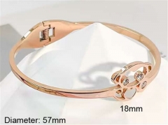 HY Wholesale Bangle Stainless Steel 316L Jewelry Bangle-HY0123B179