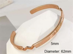 HY Wholesale Bangle Stainless Steel 316L Jewelry Bangle-HY0123B226