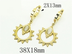 HY Wholesale Earrings 316L Stainless Steel Popular Jewelry Earrings-HY43E0524OE