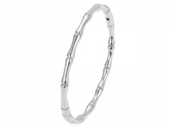 HY Wholesale Bangle Stainless Steel 316L Jewelry Bangle-HY0155B0600