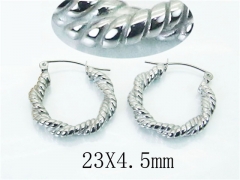 HY Wholesale Earrings 316L Stainless Steel Earrings Jewelry-HY22E0649HHC