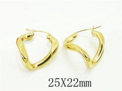 HY Wholesale Earrings 316L Stainless Steel Earrings Jewelry-HY64E0530MW