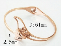 HY Wholesale Bangles Jewelry Stainless Steel 316L Popular Bangle-HY64B1669HEE