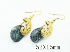 HY Wholesale Earrings 316L Stainless Steel Earrings Jewelry-HY92E0220HLS