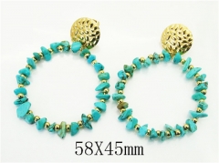 HY Wholesale Earrings 316L Stainless Steel Earrings Jewelry-HY92E0232HIE