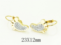 HY Wholesale Earrings 316L Stainless Steel Earrings Jewelry-HY67E0603LLD