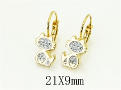HY Wholesale Earrings 316L Stainless Steel Earrings Jewelry-HY67E0597LLE