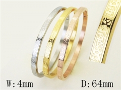 HY Wholesale Bangles Jewelry Stainless Steel 316L Popular Bangle-HY42B0248HOG