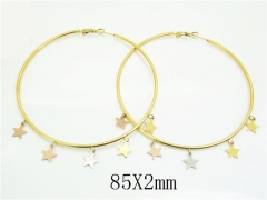HY Wholesale Earrings 316L Stainless Steel Earrings Jewelry-HY52E0198HJX