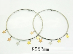 HY Wholesale Earrings 316L Stainless Steel Earrings Jewelry-HY52E0197HIR