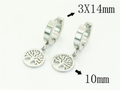 HY Wholesale Earrings 316L Stainless Steel Earrings Jewelry-HY80E1121JX
