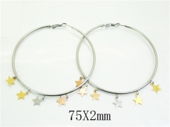 HY Wholesale Earrings 316L Stainless Steel Earrings Jewelry-HY52E0194HIZ