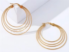 HY Wholesale Earrings 316L Stainless Steel Earrings Jewelry-HY0069E0170