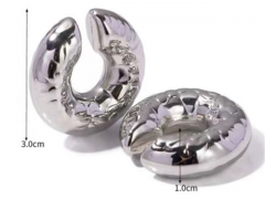 HY Wholesale Earrings 316L Stainless Steel Earrings Jewelry-HY0069E0299