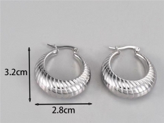 HY Wholesale Earrings 316L Stainless Steel Earrings Jewelry-HY0069E0257