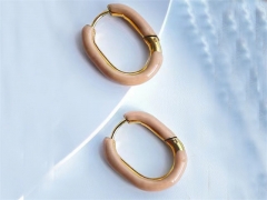 HY Wholesale Earrings 316L Stainless Steel Earrings Jewelry-HY0069E0330