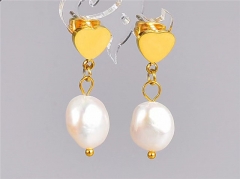 HY Wholesale Earrings 316L Stainless Steel Earrings Jewelry-HY0069E0359