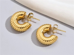 HY Wholesale Earrings 316L Stainless Steel Earrings Jewelry-HY0069E0312