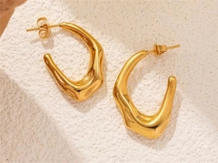 HY Wholesale Earrings 316L Stainless Steel Earrings Jewelry-HY0069E0064