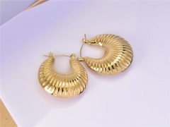 HY Wholesale Earrings 316L Stainless Steel Earrings Jewelry-HY0069E0264