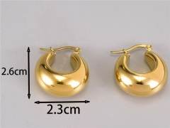 HY Wholesale Earrings 316L Stainless Steel Earrings Jewelry-HY0069E0154