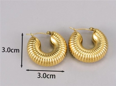 HY Wholesale Earrings 316L Stainless Steel Earrings Jewelry-HY0069E0252