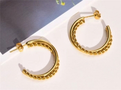 HY Wholesale Earrings 316L Stainless Steel Earrings Jewelry-HY0069E0326