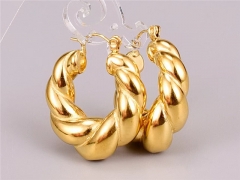 HY Wholesale Earrings 316L Stainless Steel Earrings Jewelry-HY0069E0088
