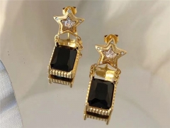 HY Wholesale Earrings 316L Stainless Steel Earrings Jewelry-HY0123E0140