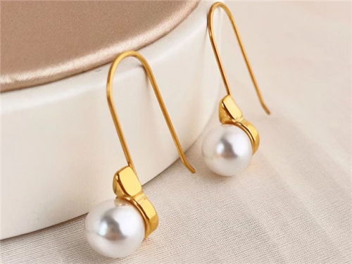 HY Wholesale Earrings 316L Stainless Steel Earrings Jewelry-HY0123E0071
