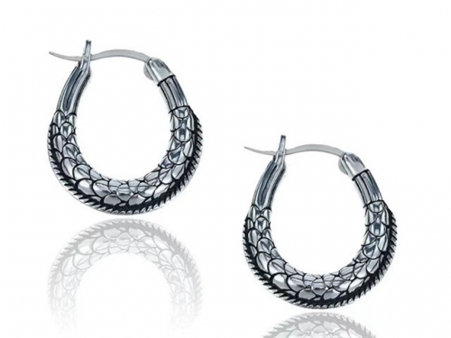 HY Wholesale Earrings 316L Stainless Steel Earrings Jewelry-HY0123E0193