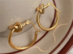 HY Wholesale Earrings 316L Stainless Steel Earrings Jewelry-HY0123E0101