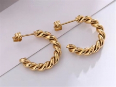 HY Wholesale Earrings 316L Stainless Steel Earrings Jewelry-HY0123E0095