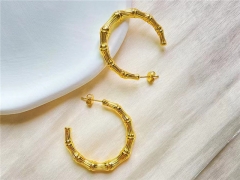 HY Wholesale Earrings 316L Stainless Steel Earrings Jewelry-HY0123E0038
