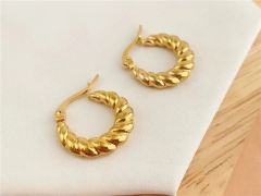 HY Wholesale Earrings 316L Stainless Steel Earrings Jewelry-HY0123E0049